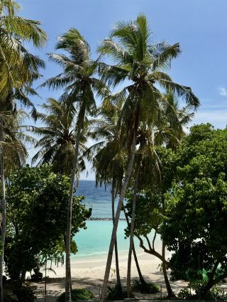 馬爾地夫必遊清單：不容錯過的景點🇲🇻✨