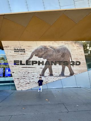 🦖 Melbourne Museum with a Young Child | Our 2-Hour Visit