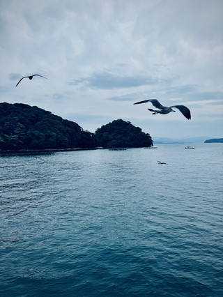 🇯🇵 伊根灣：宛如京都另一面的靜謐海濱村落 🌊🏠