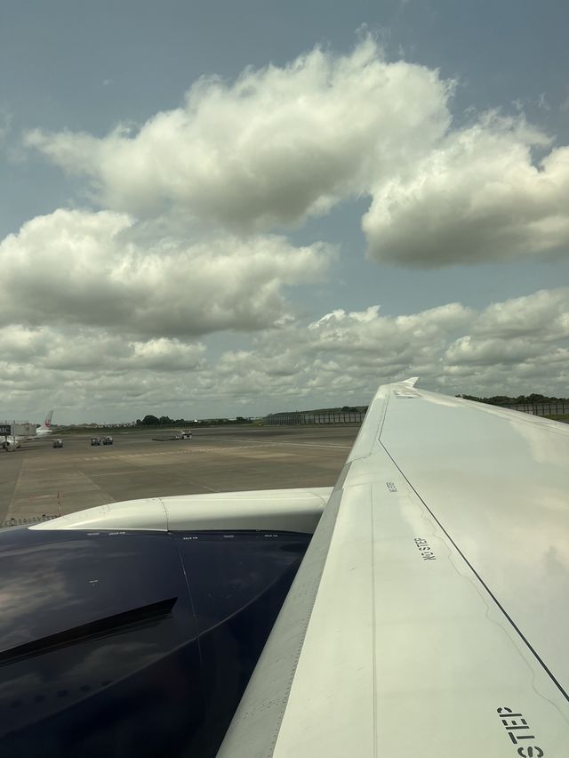 エアプレミアに初めて乗りました✈️