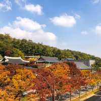 꼭 가봐야 할 단풍명소 인천 투썸플레이스 문학점