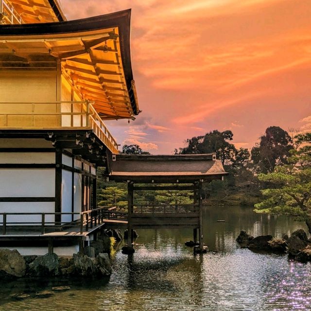 金閣寺：✨  閃耀古都的金色夢幻，京都必訪的歷史瑰寶！