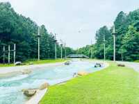 Where Rapids Meet Renewal