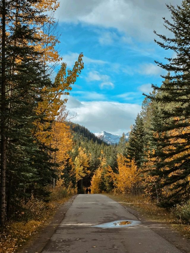 Banff's hidden gem for those who don't like hiking💎