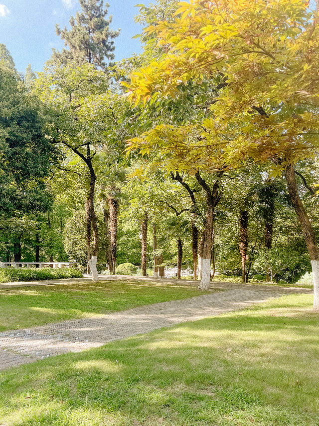 Peaceful Afternoon at Xuanwu Lake 🌿✨