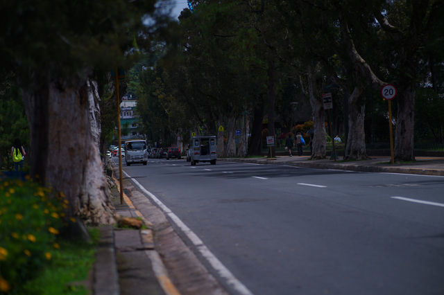  Late Afternoon at Burnham Park, Baguio