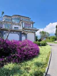 🌊 Erhai Lake – Dali’s Shimmering Gem 🚲✨