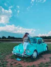 🌸Best Photoshoot Location in Lijiang