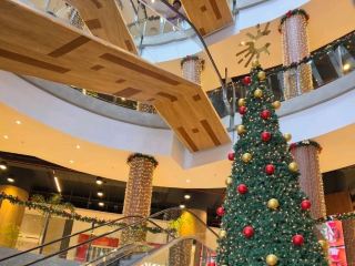 🎄✨ คริสต์มาสในเอนการ์นาซิออน ปารากวัย