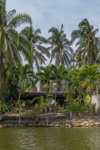 Boat Ride, Mangroves, and a Mud Experience at Tres Palos Lagoon