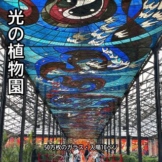 50万枚のガラスで作られた光の森。トルーカのコスモビトラルは入場10ペソのステンドグラス植物園
