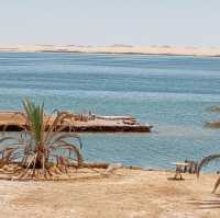 Paradise of Egypt, Siwa Oasis