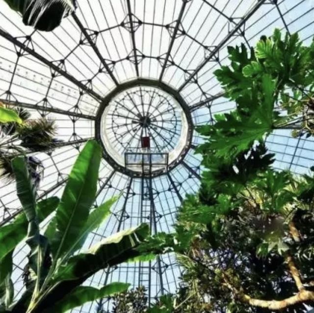 Hangloose at Eden Project