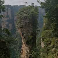 Breathtaking Zhangjiajie 🐒🌿