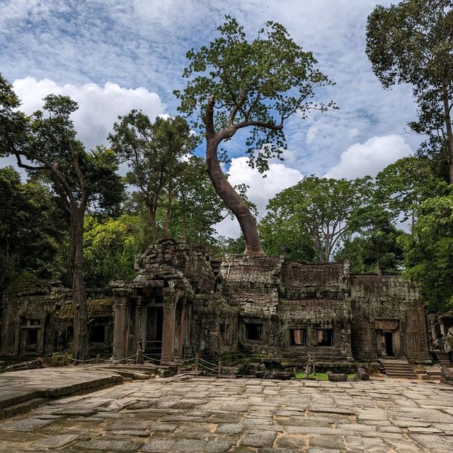 Tomb raider vibes at Angkor Wat