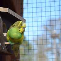 Tierpark… Local Zoo Greifswald Germany