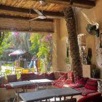 Egypt’s best desert destination 