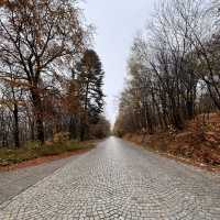 Bulgaria-Bansko n Vitosha