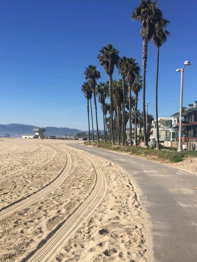 🏖️Venice Beach, LA