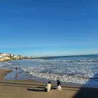 유럽여행 스페인 바르셀로나 시체스 San Sebastian beach