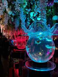 This place is an absolute masterpiece 😍🐠