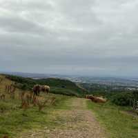 Scotland’s natural beauty 🏴󠁧󠁢󠁳󠁣󠁴󠁿🌳🐮