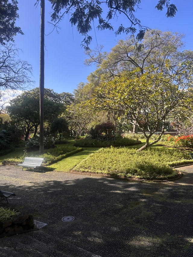 Green Funchal 