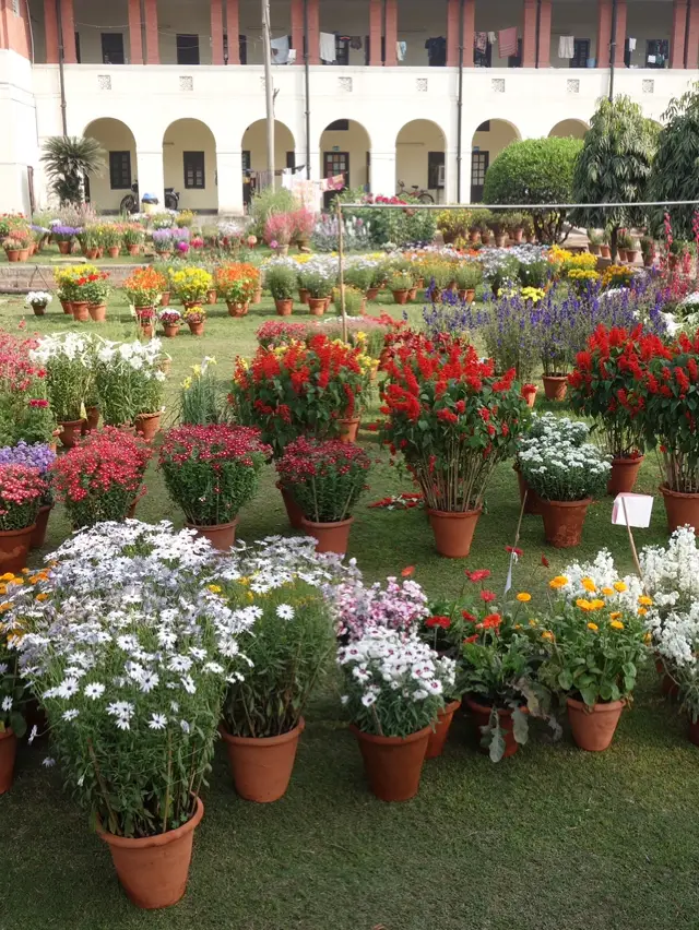 델리 북부 캠퍼스 연례 꽃 축제: 자연의 생동감 넘치는 축제