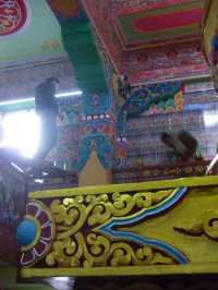McLeod Ganj – The Little Tibet of India