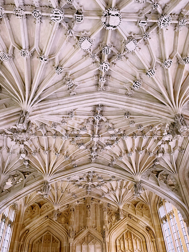 ✨ Oxford Divinity School: A Majestic Piece of History ✨