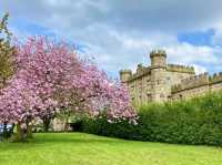 🌸 April Blooms in Preston: A Floral Wonderland 🌸