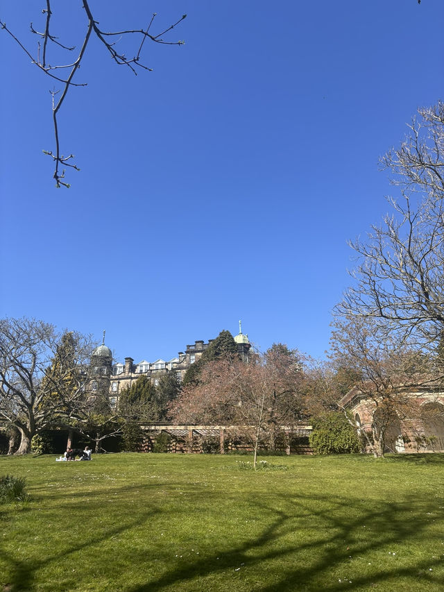 Lunch with a view @ Valley Gardens 