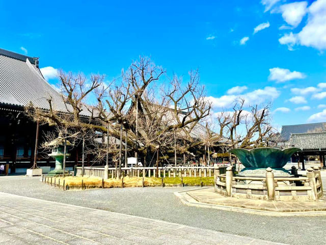 Jodo Shinshu Honganji School registered as a World Cultural Heritage Site