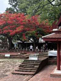 My memorable days in and around Bangkok 