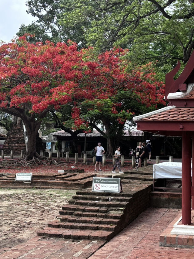 My memorable days in and around Bangkok 