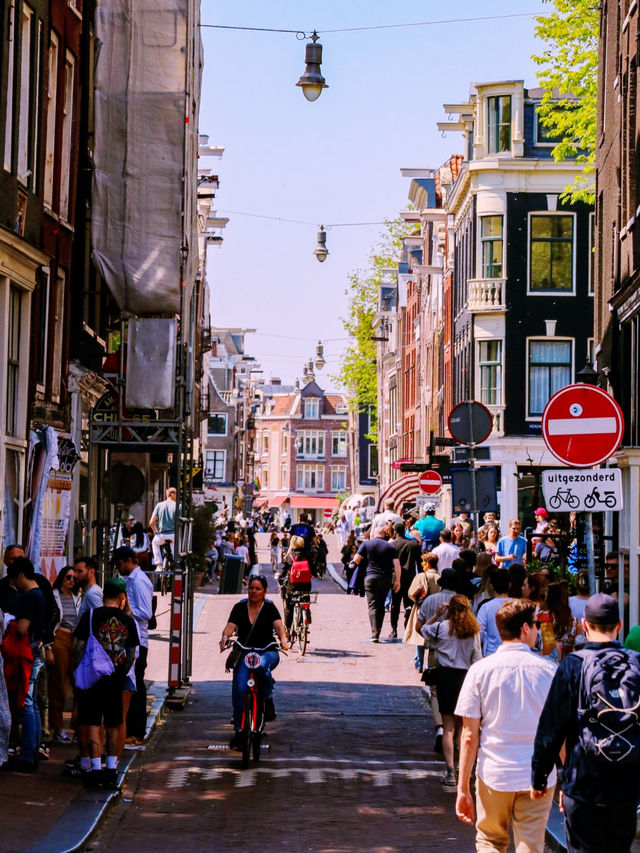☀️💸 Summer Budget Trip to Amsterdam — Explore the Canals Without Breaking the Bank!