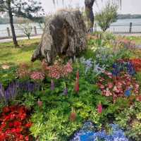 Beihai park is a wonderful park
