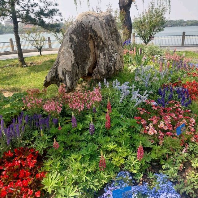 Beihai park is a wonderful park
