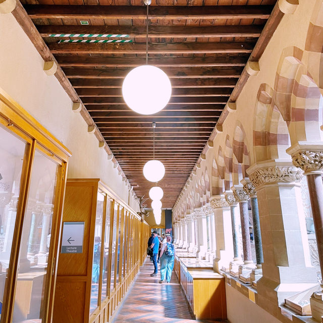 🎒🔍 Discover Oxford’s Free Pitt Rivers Museum! 🇬🇧✨