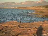 Is Can Picafort the ideal base whilst staying in Mallorca? 