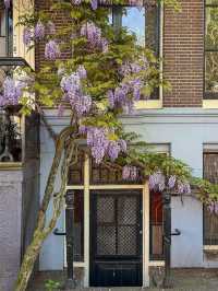Amsterdam – Where Canals, Culture, and Creativity Meet