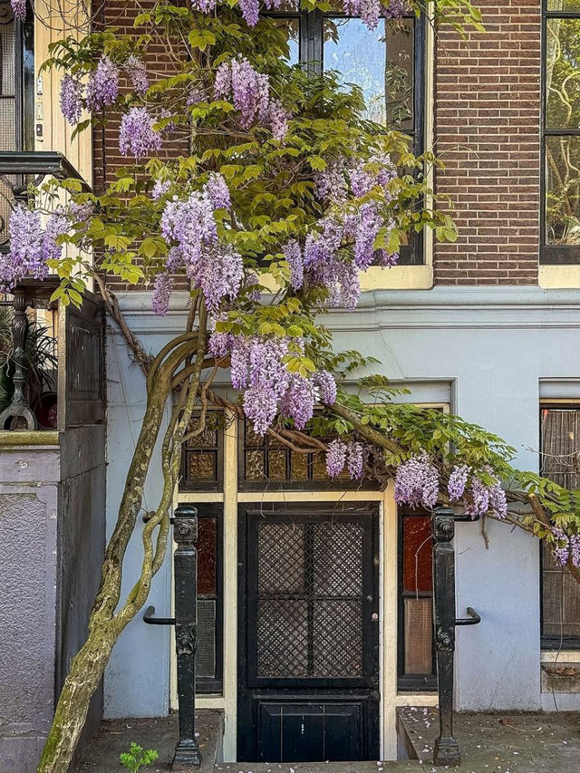 Amsterdam – Where Canals, Culture, and Creativity Meet