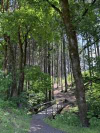Mariánské Lázně: A Peaceful Escape for the Soul