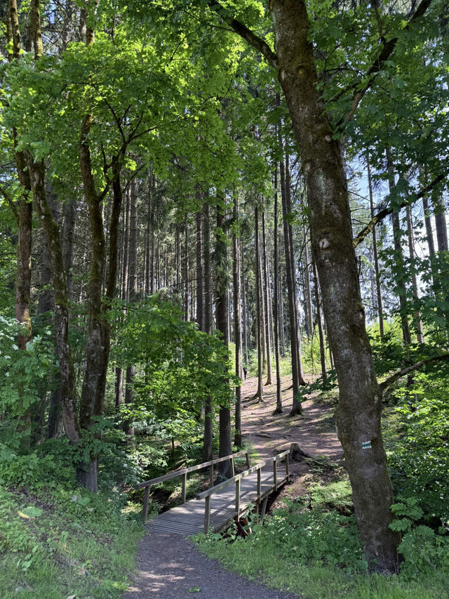 Mariánské Lázně: A Peaceful Escape for the Soul