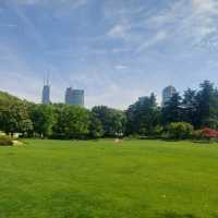 Little parks in Shanghai, little water worlds in the heart of the city