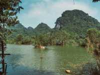 Thung Nham Bird Park: A Hidden Oasis in Tam Coc, Vietnam