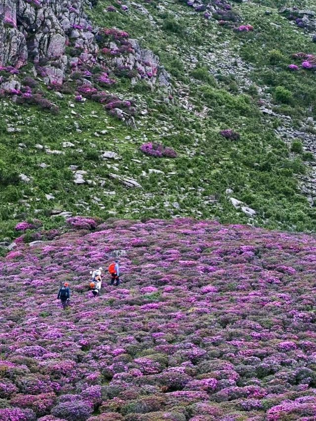 Liangshan Yi-Where Mountains Meet Minority Culture