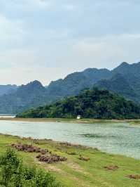 🚴‍♀️ Van Long Wetland by Bike – Ninh Binh’s Best-Kept Secret