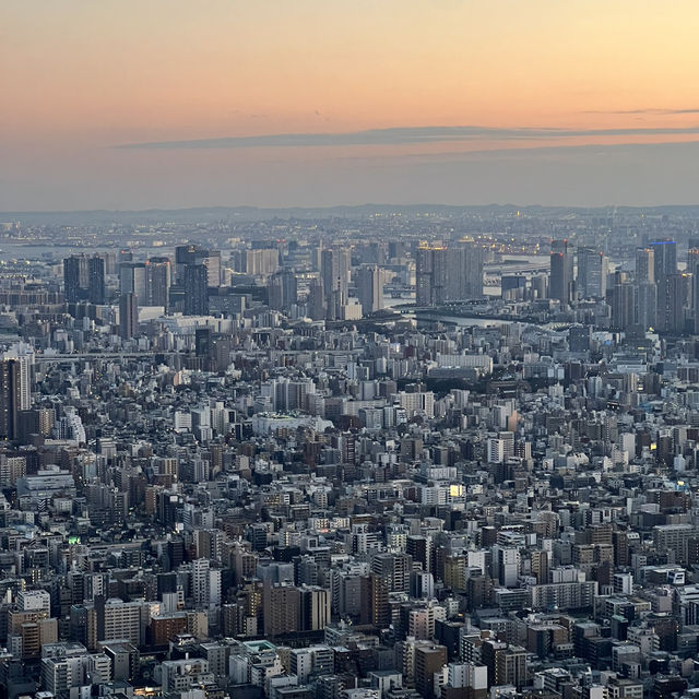 Tokyo Skytree at sunset 🌅