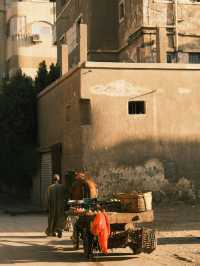 색채의 기둥 사이를 걷는 신전의 아침 🌞